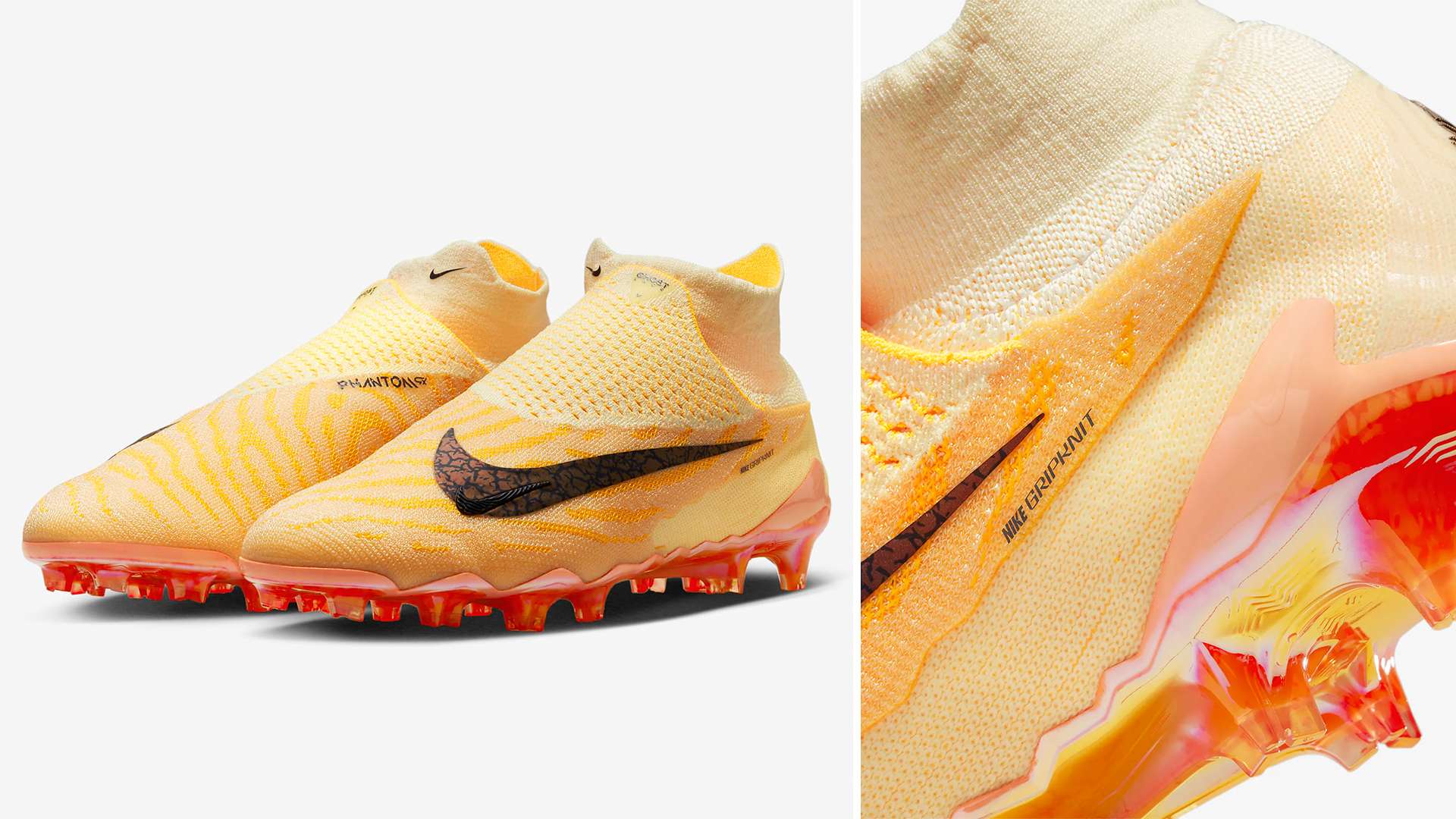 球员或教练 球员或教练